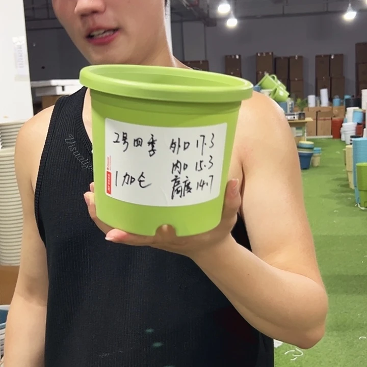 特价2号口17.3高14.7果绿无托10只