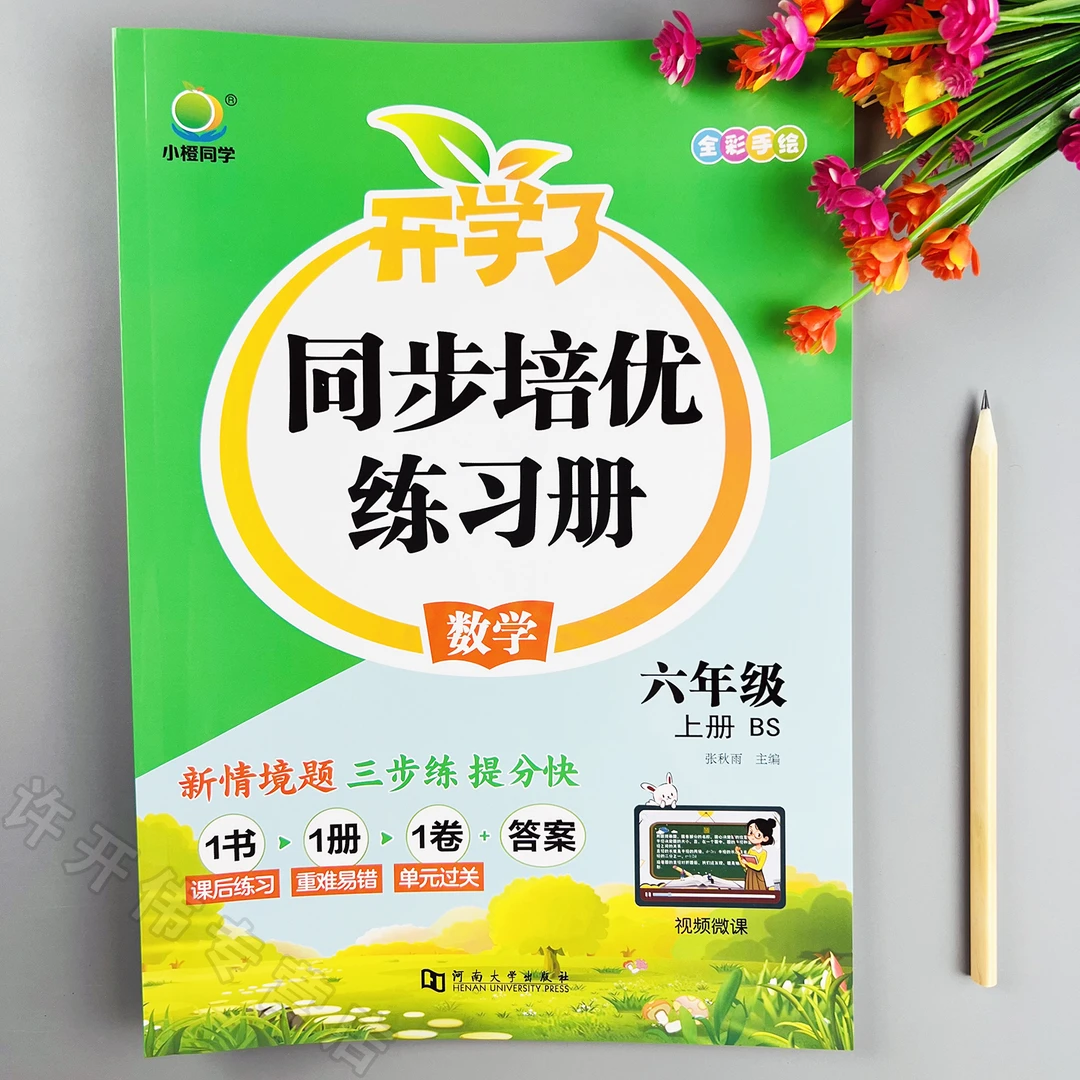 北师大版数学同步练习册六年级上册数学一课一练同步训练培优练习