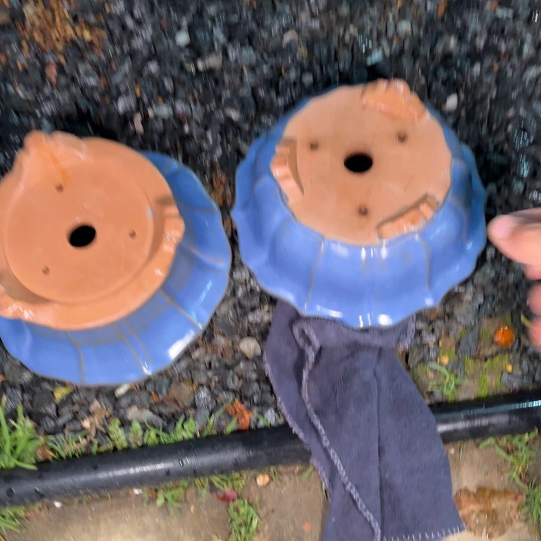 老***K全场盆景两个宝山釉盆