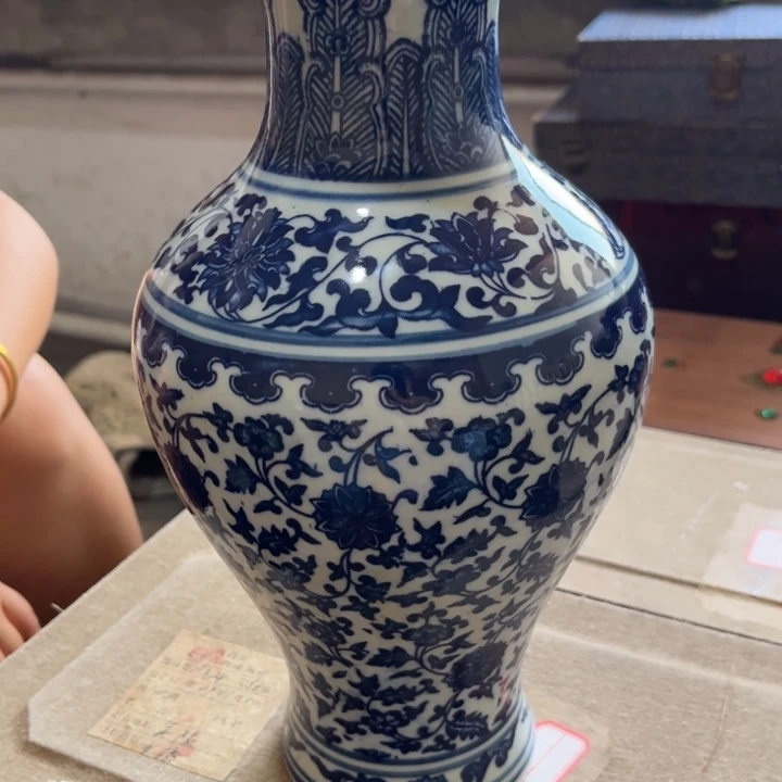 瓷片我是一只小小鸟地域鬼