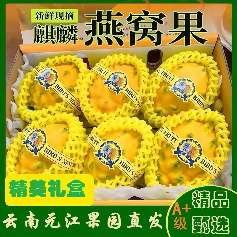 麒麟燕窝果云南元江当季现摘热带水果稀有白心火龙果礼盒场地直发