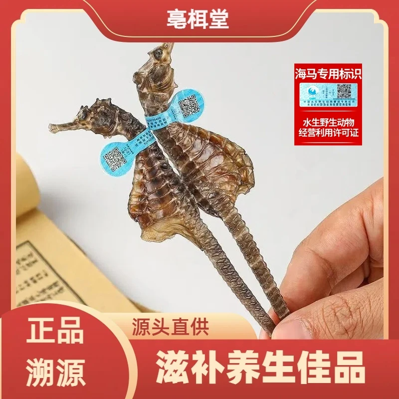 足干正宗海马干货一对非中药材滋补泡酒配对煲汤正品海马干货公母