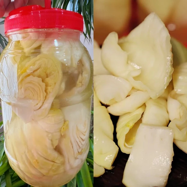 海丰特产新咸菜酥脆爽口的新鲜咸菜心