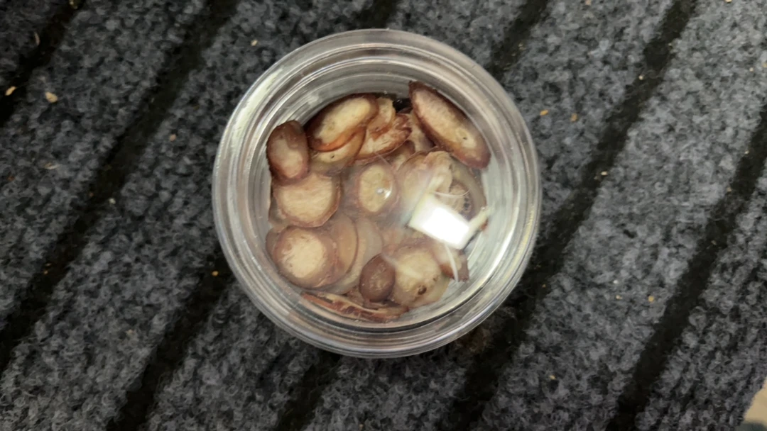 Q17特色手工艺木制品。