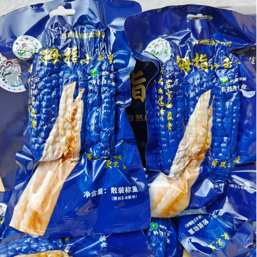 云南拇指小玉米非转基因甜糯真空包装礼盒装2千克西双版纳特产