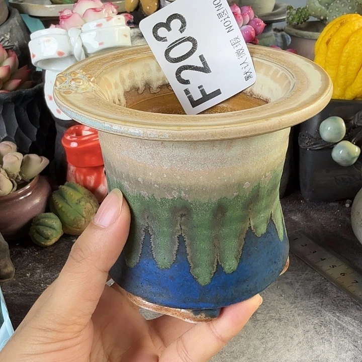 重庆小燕子欢迎大家203