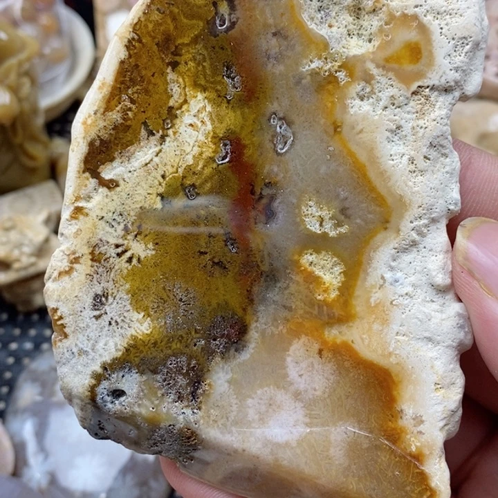 颈饰未镶嵌硅化珊瑚（珊瑚玉）