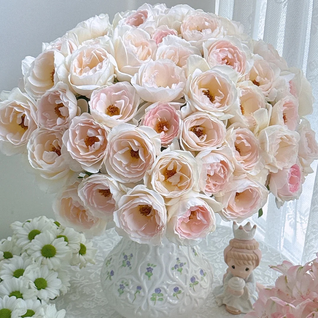 【缤纷玫瑰】奶油云朵 任拍三单及以上包顺空鲜切花10支装家居稀有