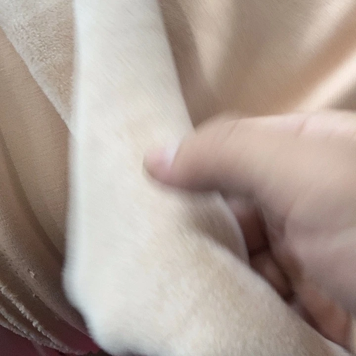 竹浆纤维高档面料2米。粉后