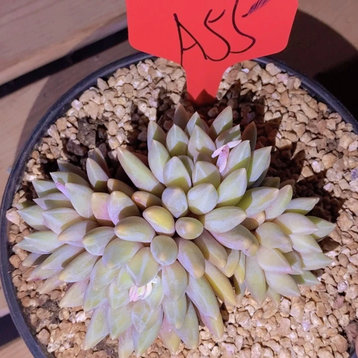 这个我就知道这事肯定