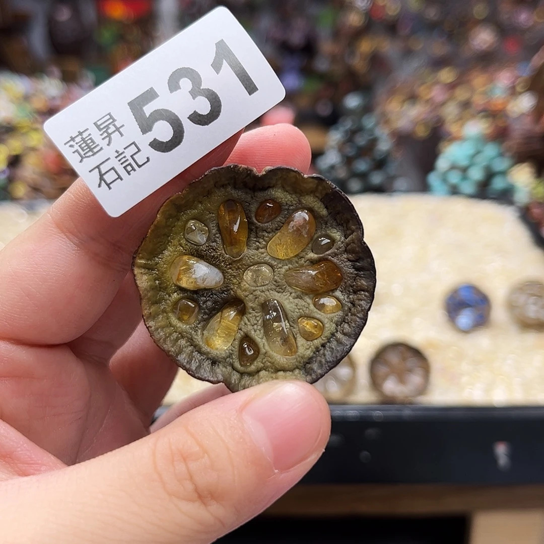 核桃木/黑胡桃（胡桃木）531