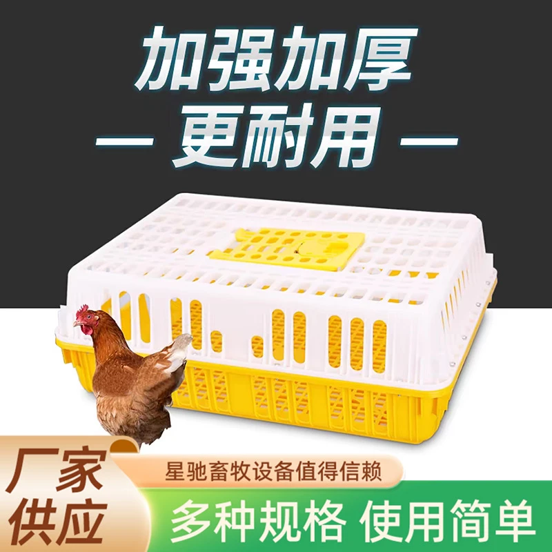 鸡用周转箱塑料鸡笼装鸡机械塑料筐家禽鸭鹅小鸡养殖场雏鸡