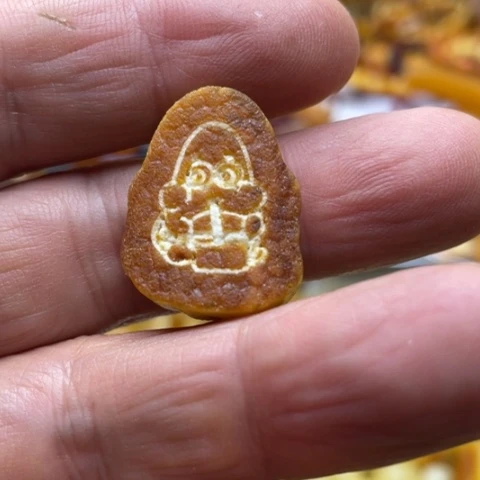 手串植物珀未镶嵌吊坠