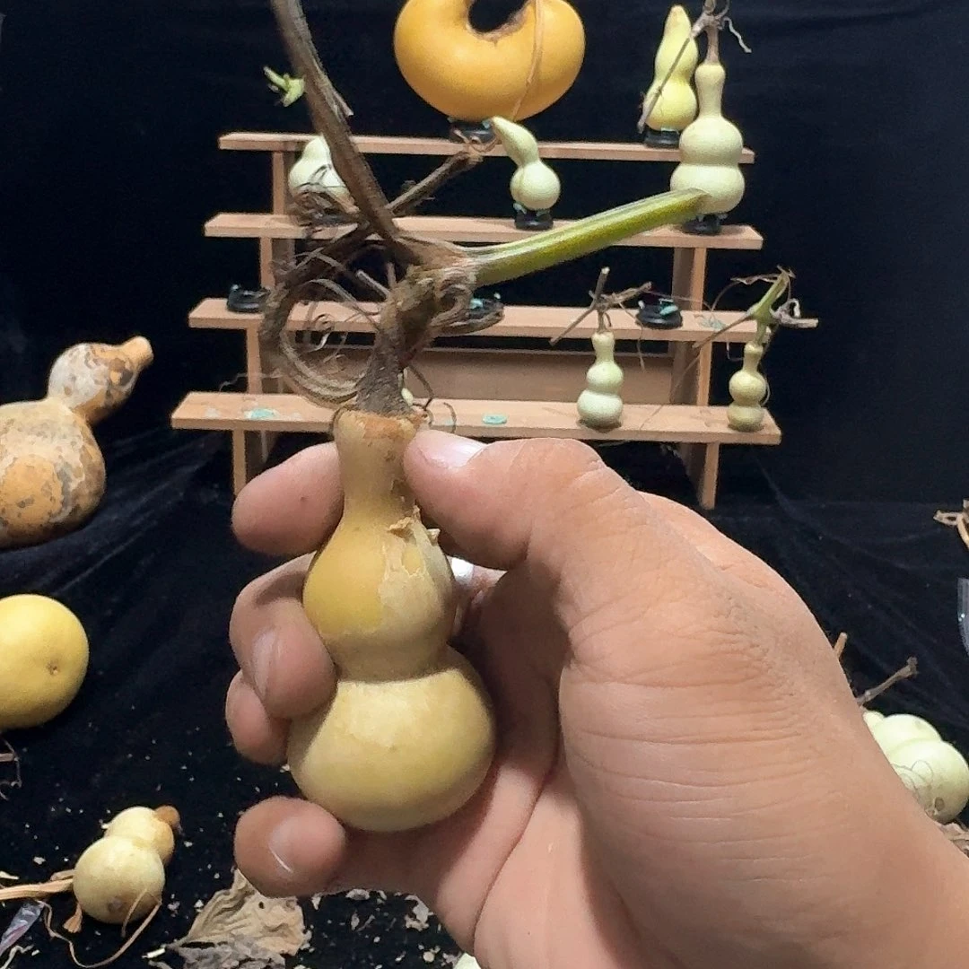 简***我定向定向定向定向