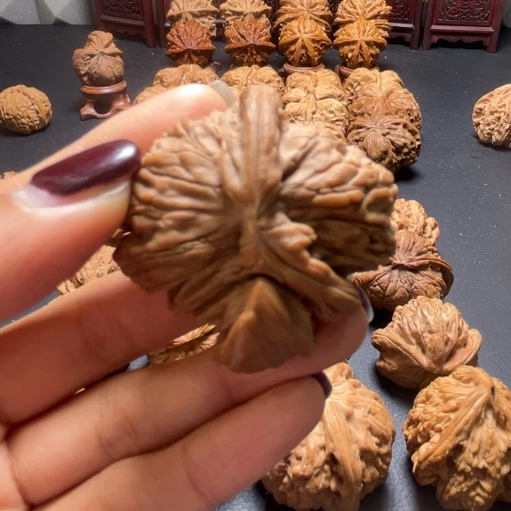 白狮子两棱挂角核桃哈哈哈哈哈哈哈
