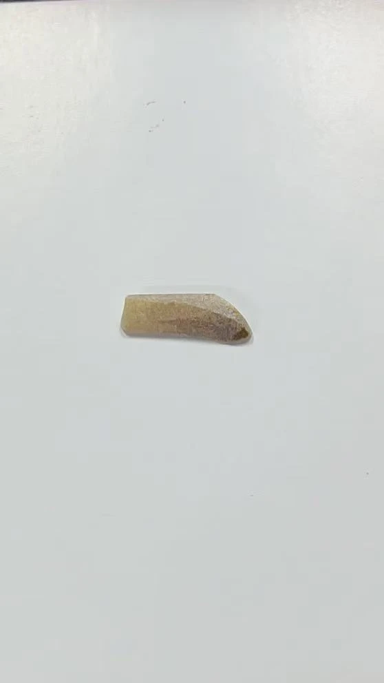 福袋2