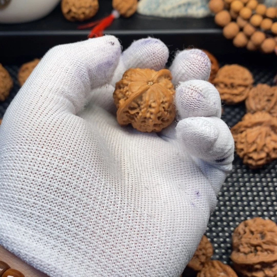 秦岭森林茂密和植被覆盖