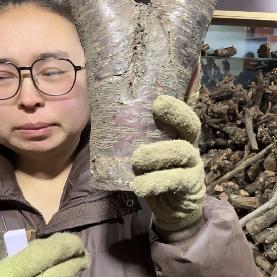 香榧木?****?火琉璃的故事毛料摆件