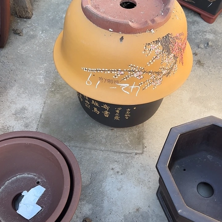 万***哥花盆紫砂这是我的