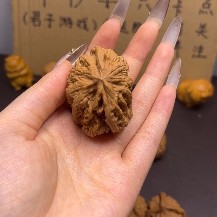 齐***齐菩提籽类粗筋单只异型有瑕