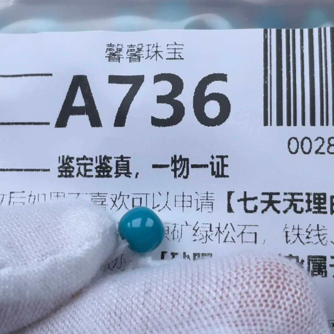 南***1绿松石未镶嵌颈饰