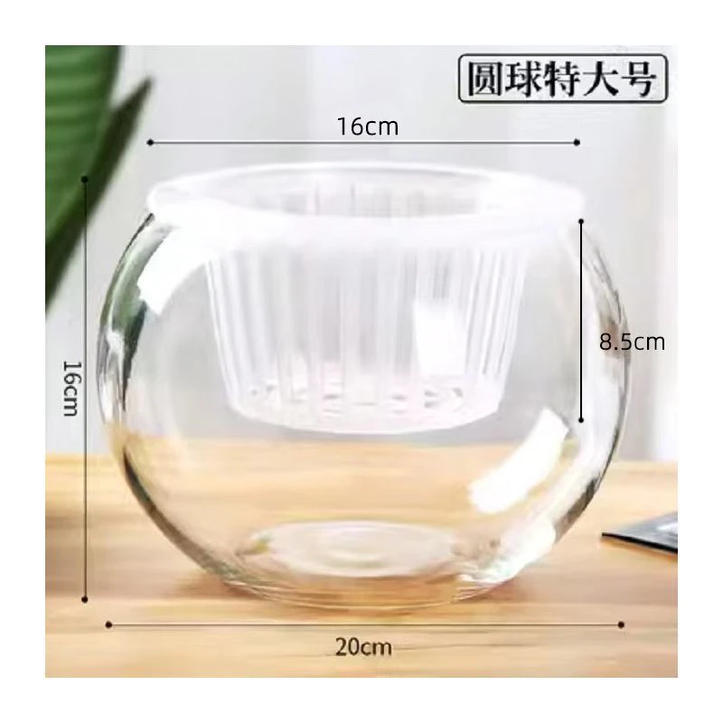 【水培玻璃瓶】适合绿箩一帆风顺等