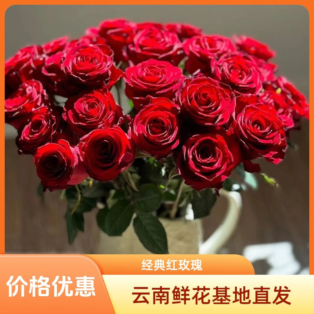 【10支 红玫瑰】全场鲜花任意满2单顺丰或德邦空运  送货上门