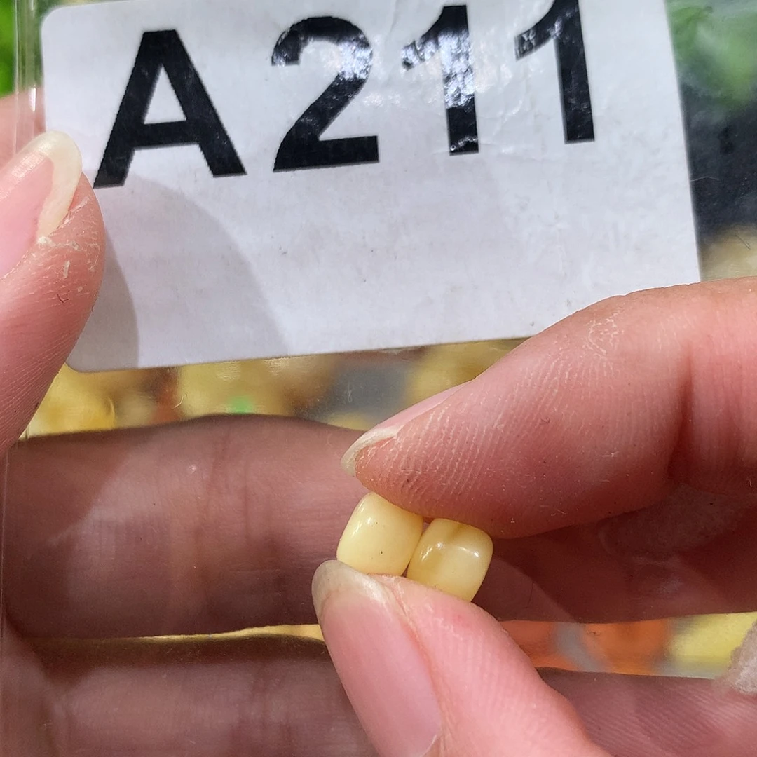 未镶嵌琥珀珠宝奇石2颗
