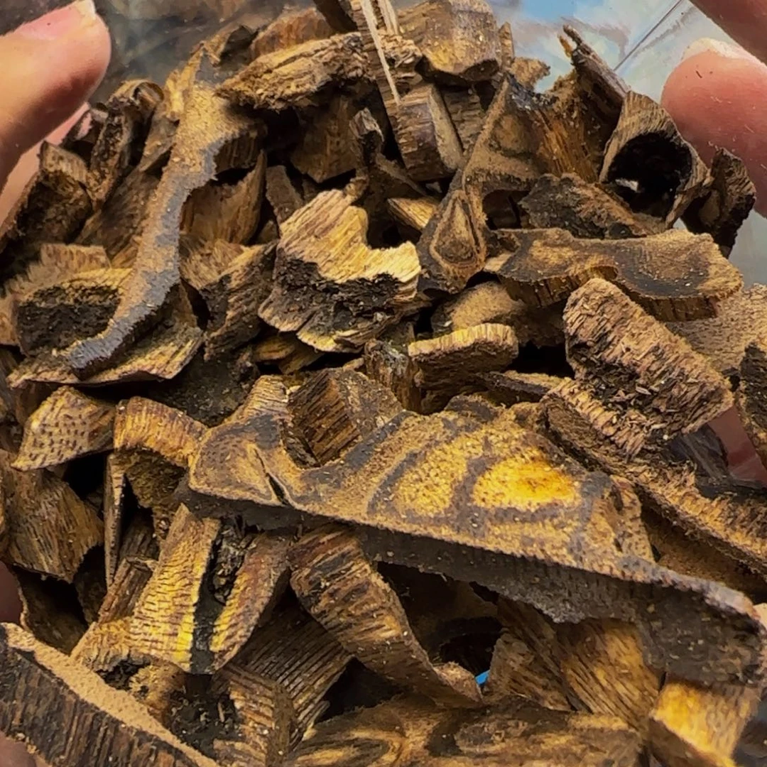 沉香沉香碎屑20克虎斑天然虫漏