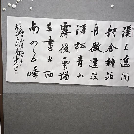 书法杜先生四尺横幅多字书法作品