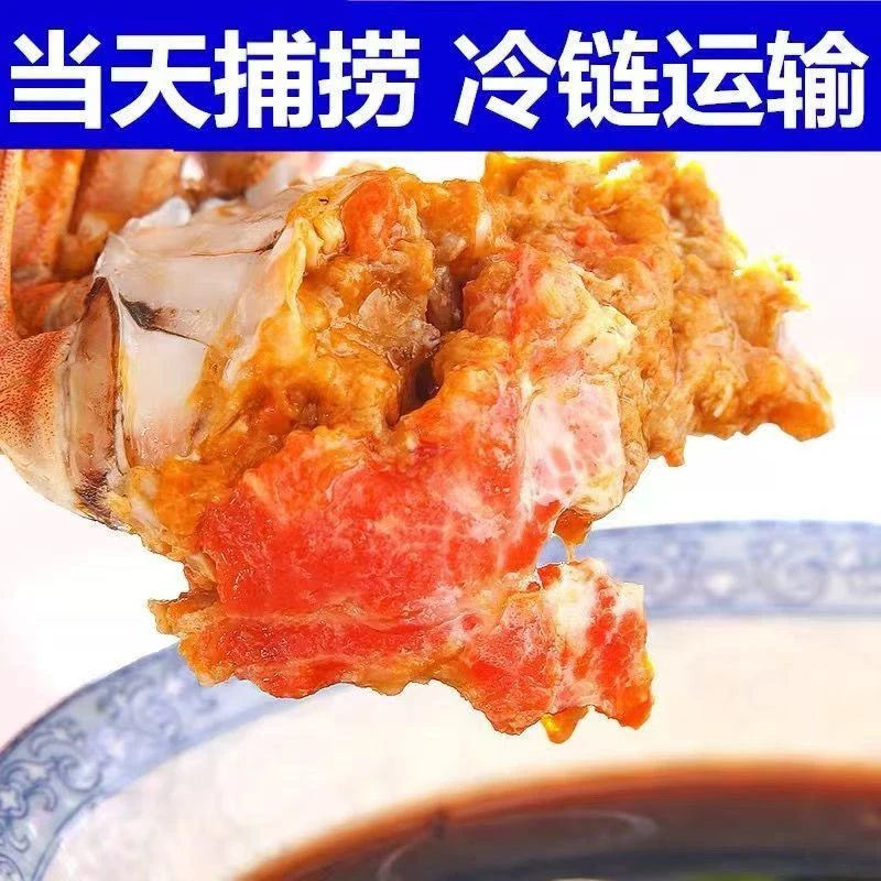 【活蟹】江苏河蟹全母2.0两-1.7两每只顺丰京东冷链包邮