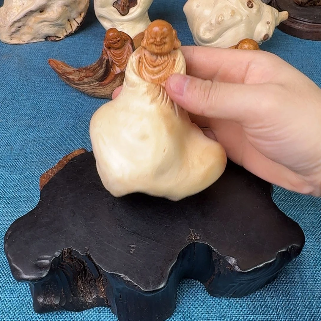 柏木（崖柏）关注一下