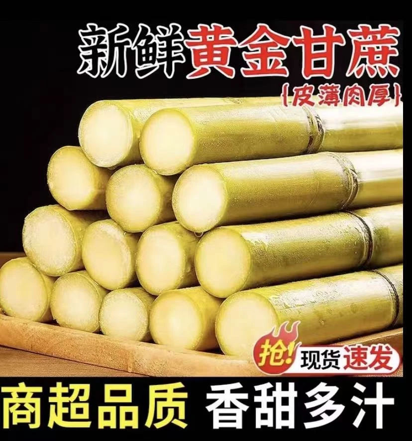 云南黄金甘蔗高山现砍中断脆甜爆汁当季孕妇生鲜水果顺丰包邮