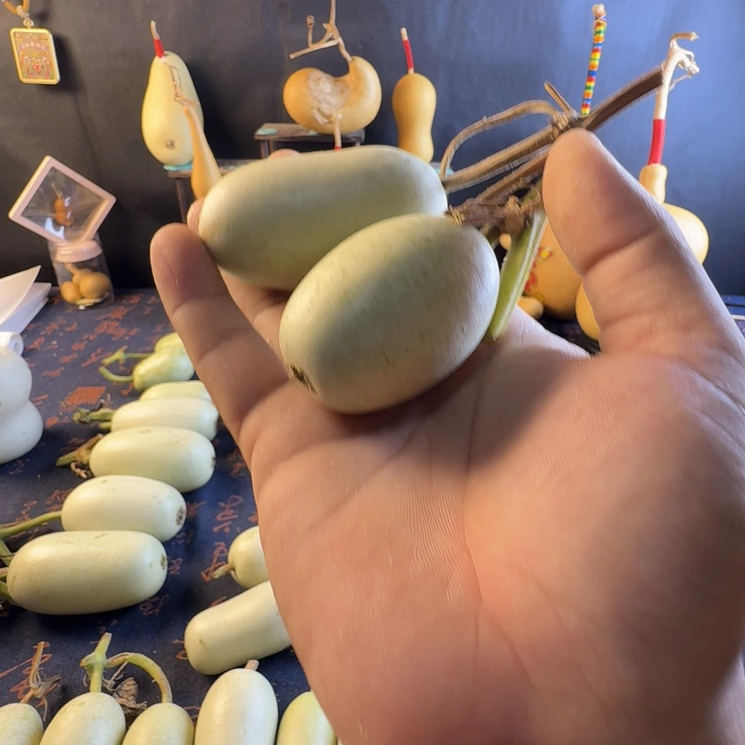 小***）葫芦葫芦真的超级可爱