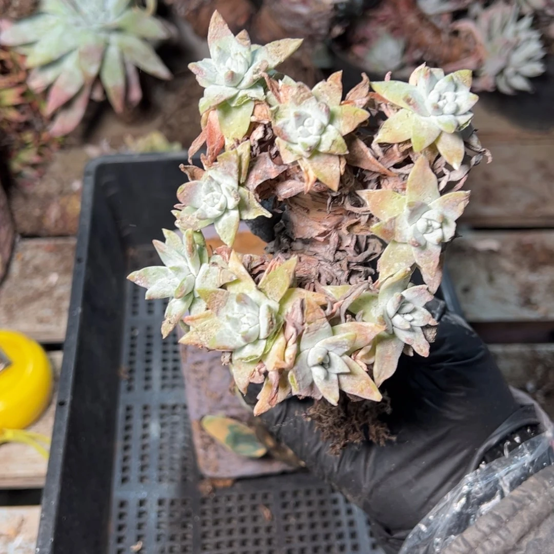 8973哈哈哈哈哈哈哈哈哈