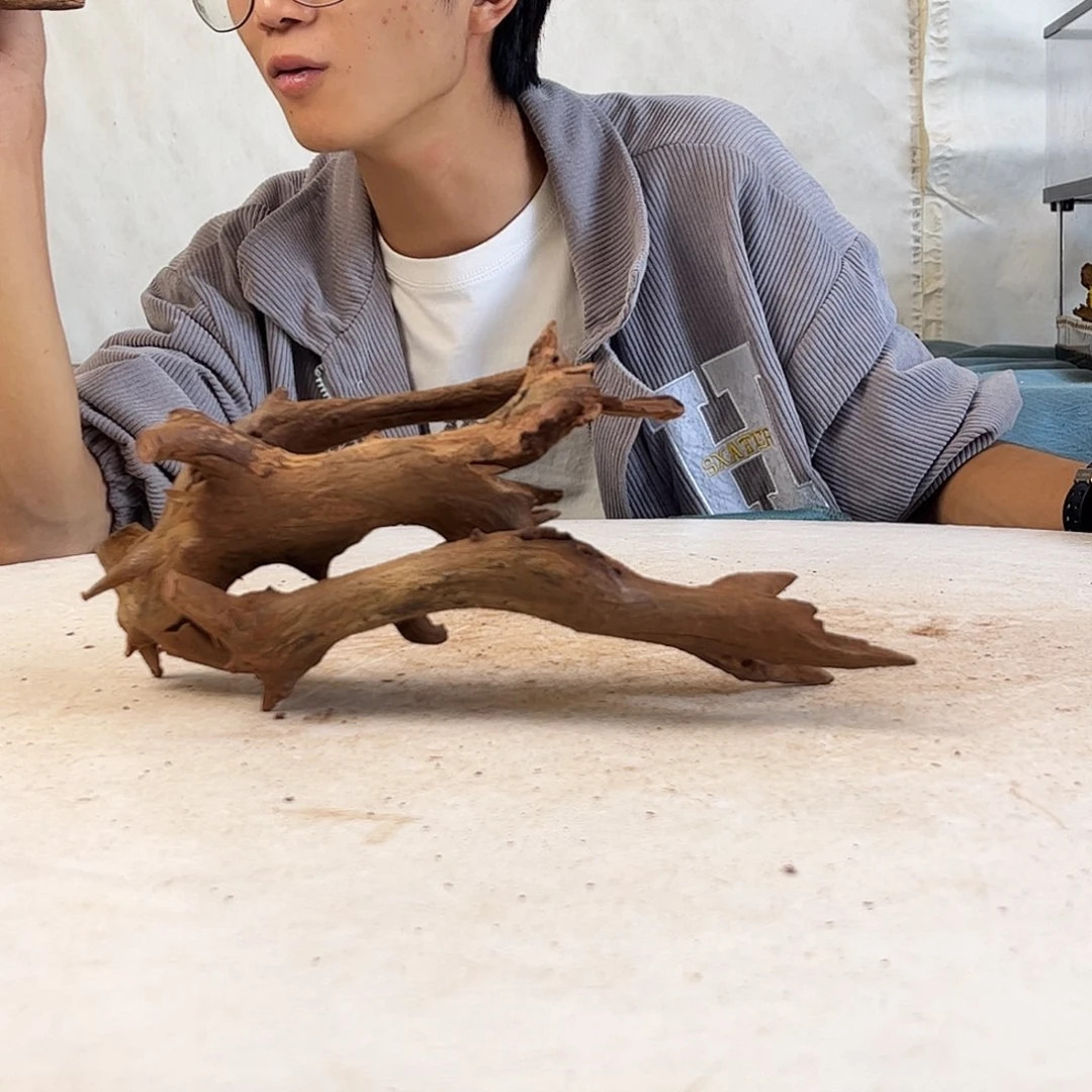 尘**步沉木造景寄居蟹造景