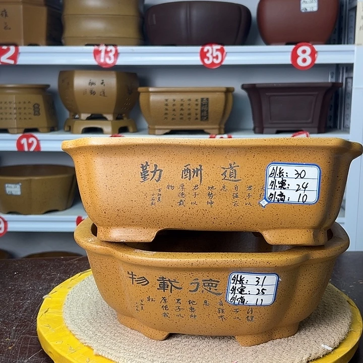 紫砂花盆你在一起