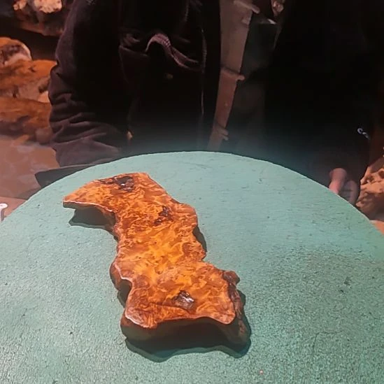 厚**物香杉木枯木四川省雅安市