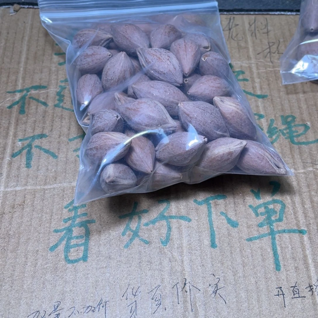 绿***衣不退不换csgffgyyuh