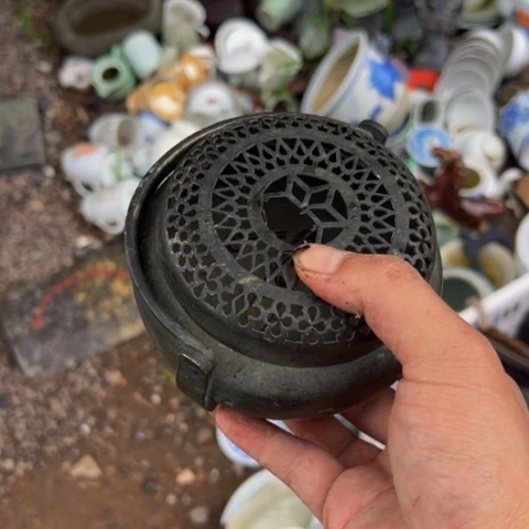 核桃木/黑胡桃（胡桃木）日*