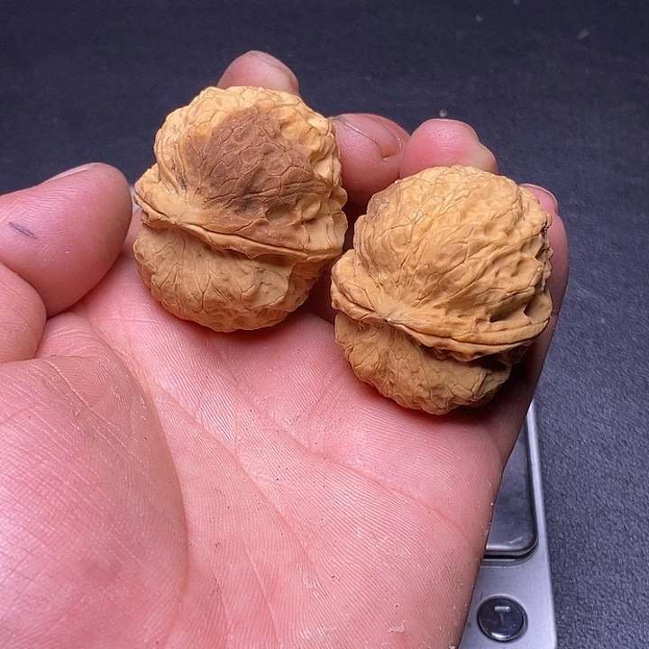 吊坠文玩核桃云南铁核桃炸福利50