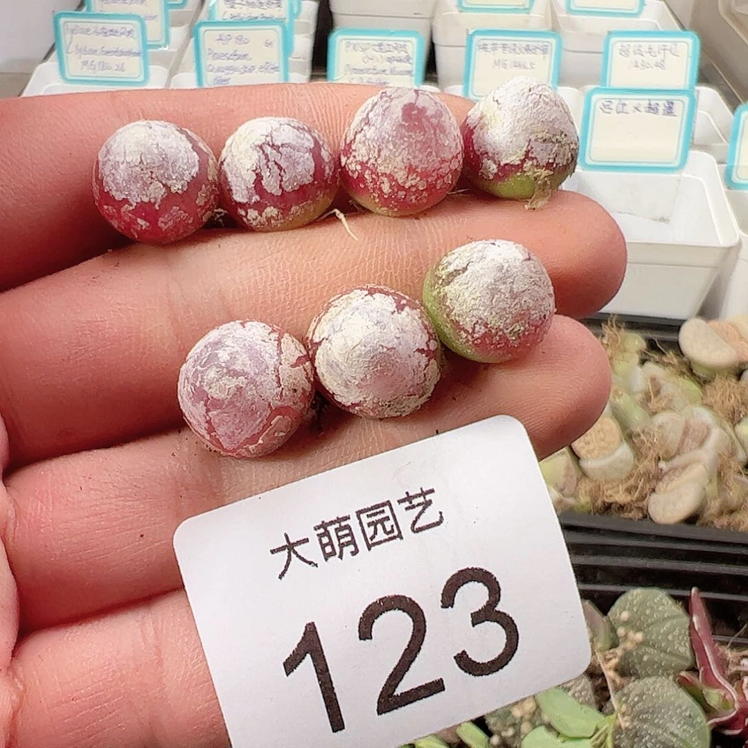 0000123 一物一拍……