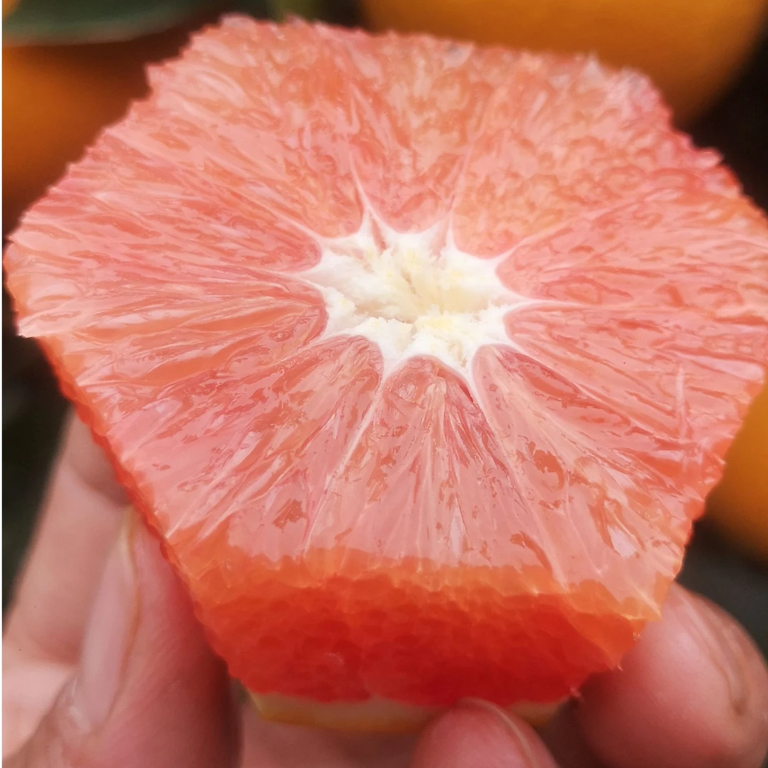 正宗血橙赣南脐橙红肉橙子产地直发现摘现发带箱20斤包邮江西橙子