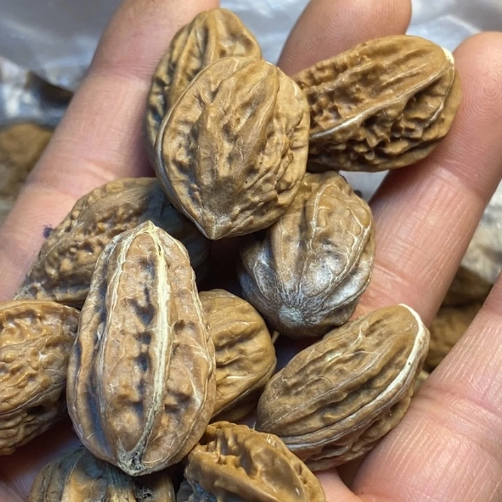 文玩核桃吊坠娜姐140