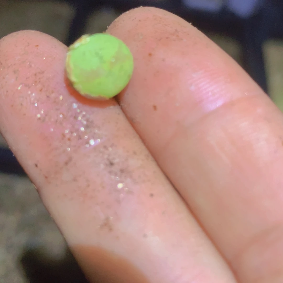 ?****柒266699966666686556655