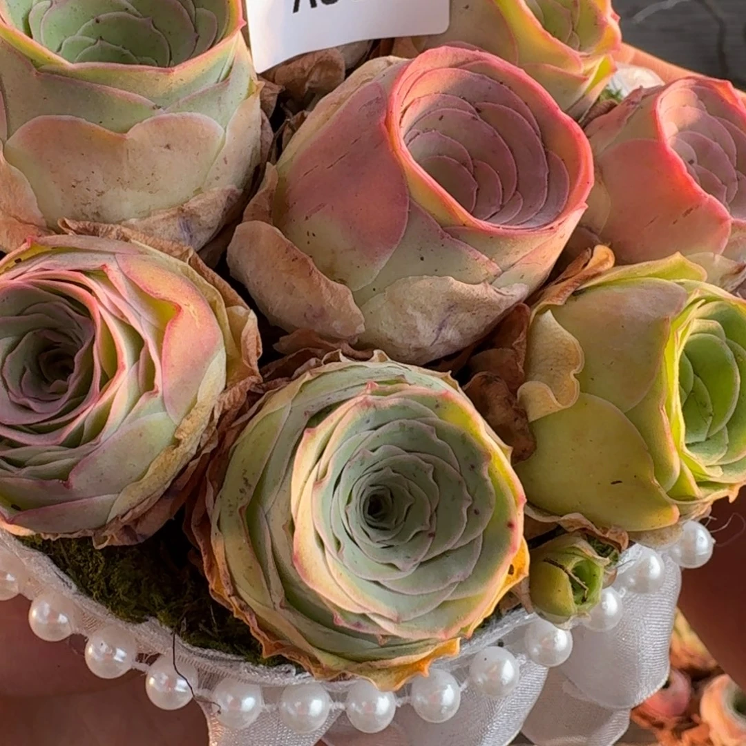 A555 苔藓花篮玫瑰组合