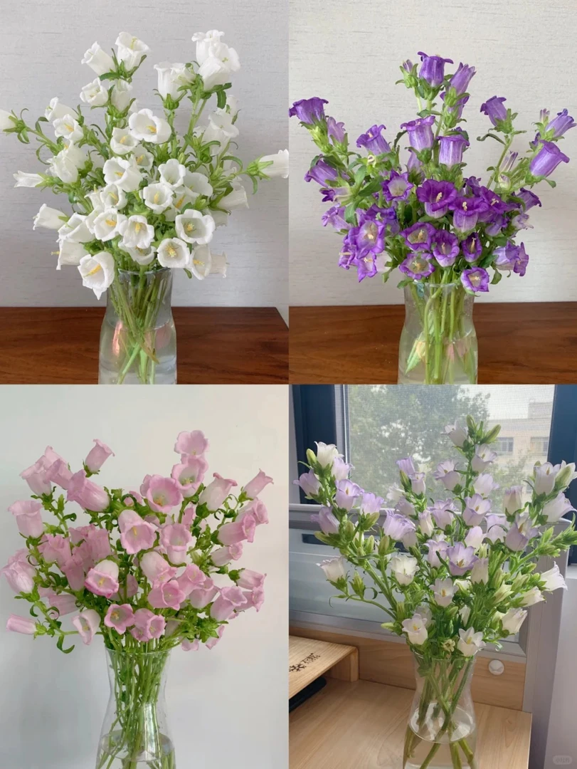 风铃 三单京东 鲜花需要醒花摘叶 揽收无法退款