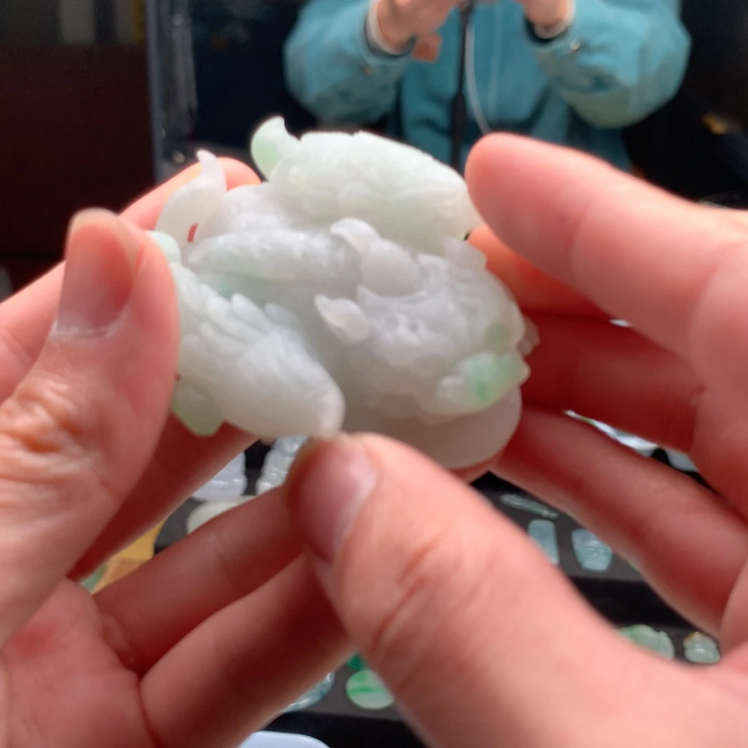 刘****翡翠未镶嵌颈饰貔貅