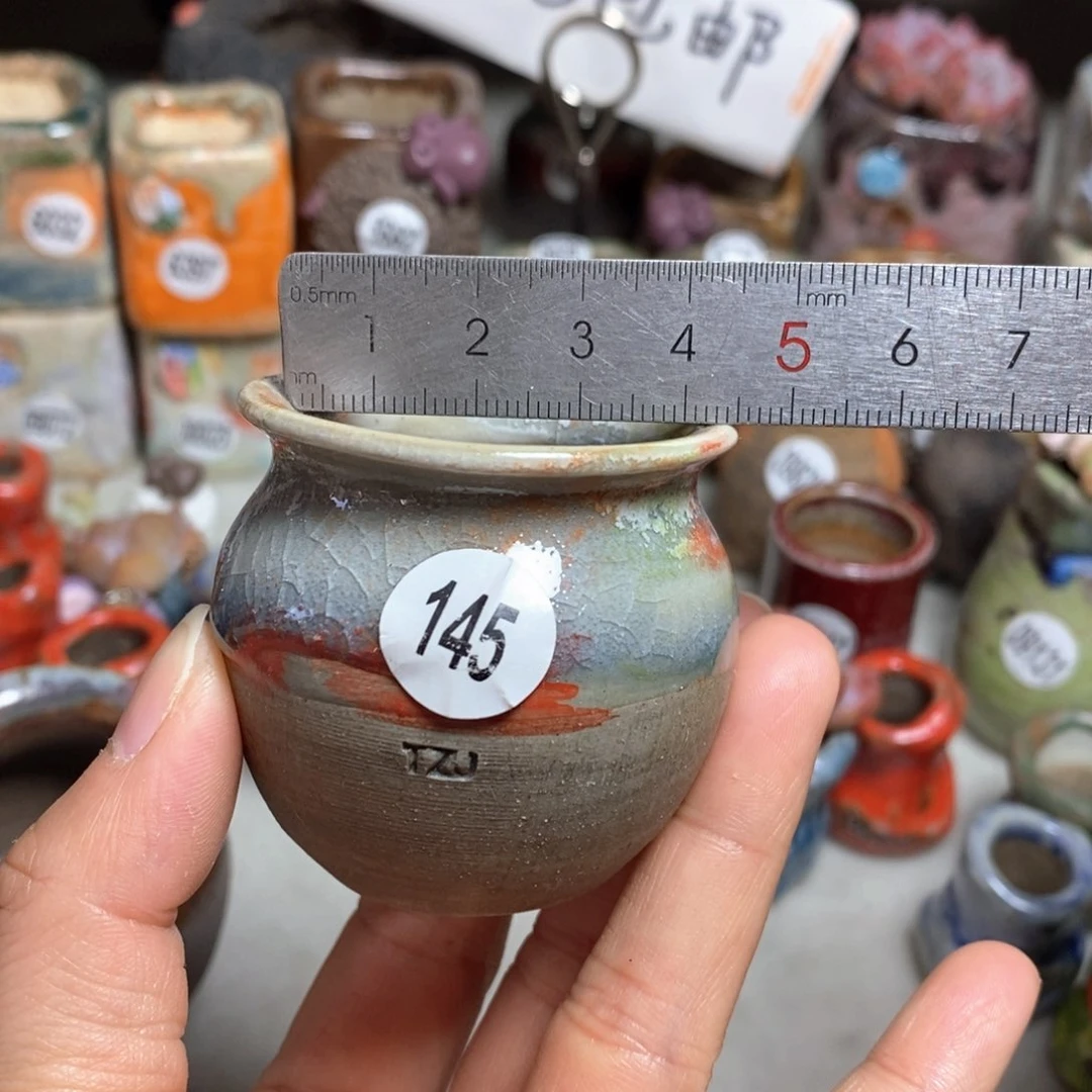 花盆拍5送一个小礼物