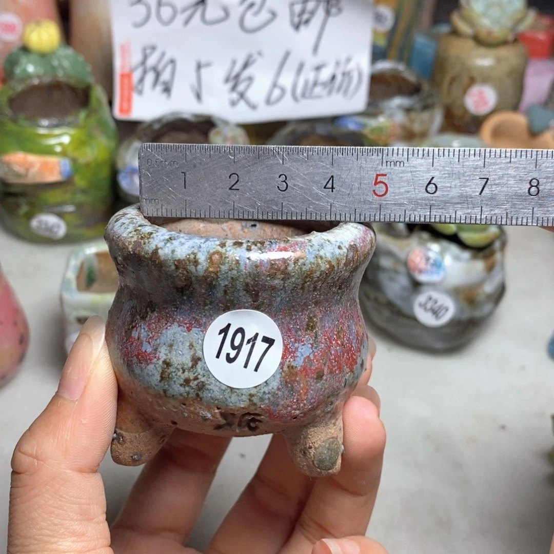 拍5送一个小礼物